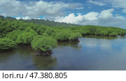 Mangrove sea landscape in tropical coastal region. Стоковое видео, видеограф Михаил Коханчиков / Фотобанк Лори