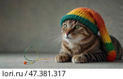 Симпатичная кошка в красочной вязаной шапке, для блогов о домашних животных, праздничных открыток, социальных сетей, рекламных акций зимнего сезона и дизайнерских проектов на животную тематику. Стоковое AI-изображение, AI-художник Ирина Поспелова / Фотобанк Лори