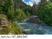 View of the Klukhor River near the Kosygin glade (Buulu Tala) in the Gonachkhir Gorge Dombai on a sunny summer day, Dombai, Karachay-Cherkessia, Russia. Стоковое фото, фотограф Ula Ulachka / Фотобанк Лори
