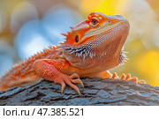 Colorful Bearded Dragon Resting on Tree Branch in Warm Sunlight During Afternoon Hours. Стоковое AI-изображение, AI-художник Юлия Гапеенко / Фотобанк Лори