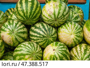 Россия: уличная торговля арбузами, груда арбузов у прилавка. Стоковое фото, фотограф Евгений Романов / Фотобанк Лори
