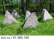 Финские противотанковые надолбы. Сестрорецкий рубеж, Курортный район Санкт-Петербурга (2022 год). Стоковое фото, фотограф Анна Карасева / Фотобанк Лори