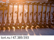 Urban transport. Parking for electric scooters and scooters. Minute-by-minute scooter rental in the city. There are a lot of scooters in a row. Moscow, Russia, 22 April 2023. Редакционное фото, фотограф Photojuli / Фотобанк Лори