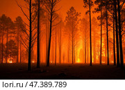Intense wildfire burning through dense forest with tall trees, glowing flames, heavy smoke, destruction, and emergency scene during evening outdoors. Стоковое AI-изображение, AI-художник Павел Муравьев / Фотобанк Лори