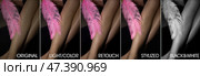 Ideal woman legs with soft pink feather before and after retouching, collage set image. Before and after legs skin processing, edited photos being compared. Photo editors concept. Copy ad text space. Стоковое фото, фотограф Aleksandr Golubev / Фотобанк Лори