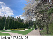 Долина роз в Национальном парке Кисловодский (2024 год). Редакционное фото, фотограф Николай Рыбин / Фотобанк Лори