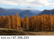 Алтай. Северо-чуйский хребет. Стоковое фото, фотограф Павел Степанов / Фотобанк Лори