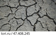 Dry, cracked earth forms a stark texture, highlighting the severe drought conditions affecting the region of crimea. Стоковое видео, видеограф Mikhail Davidovich / Фотобанк Лори