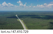 Aerial top view on country road in forest. Стоковое видео, видеограф Михаил Коханчиков / Фотобанк Лори