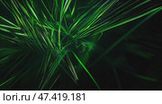 Dark background, laser beams of green light on a black background. Стоковое AI-видео, аниматор Ирина Ручушкина / Фотобанк Лори