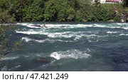 Река Рейн в городе Шаффхаузен. Швейцария. Май. The Rhine River in the city of Schaffhausen. Switzerland. May. Стоковое видео, видеограф Горшков Александр / Фотобанк Лори