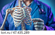 Врач в синем халате показывает на макет скелета. A doctor in a blue lab coat points to a mock-up of a skeleton. Стоковое AI-изображение, AI-художник Смирнова Светлана / Фотобанк Лори