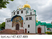 Вид на Федоровский Государев собор в Царском Селе. Стоковое фото, фотограф Igor Lijashkov / Фотобанк Лори