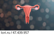 Uterus and ovaries. Medical illustration. 3d rendering. Стоковое AI-изображение, AI-художник Васильева Юлия / Фотобанк Лори