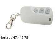 Пульт сигнализации изолированно на белом фоне. Car trinket isolated on white. Стоковое фото, фотограф Татьяна Д / Фотобанк Лори