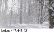 Winter landscape during snowfall. Winter Christmas abstract background on super slow motion. Стоковое видео, видеограф Андрей Армягов / Фотобанк Лори