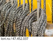 Свернутые корабельные канаты развешанные на палубе парусника. Coiled ship's ropes hung on the deck of a sailing ship. Стоковое фото, фотограф Татьяна Д / Фотобанк Лори