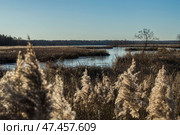 Первый лед на реке. Стоковое фото, фотограф Роман Иванов / Фотобанк Лори