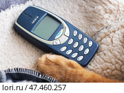 Belarus, Minsk - 11.01.2025: A Nokia mobile phone is resting on a blanket beside a cats paw. Редакционное фото, фотограф Аксенова Вера / Фотобанк Лори