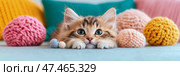 Sleepy Time: Cute Kitten Peeks Out from a Cozy Nest of Knitted Balls and Pillows, Ideal for Social Media Post. Стоковое AI-изображение, AI-художник Данила Большаков / Фотобанк Лори