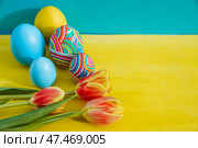 Пасхальные яйца с фоном под текст. Стоковое фото, фотограф Нелли Тумакова / Фотобанк Лори