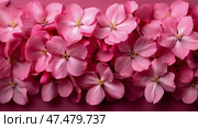 Romantic Spring: Blossoms background for celebration or organic beauty, fresh, spring, feminine print, banner. Стоковое AI-изображение, AI-художник Данила Большаков / Фотобанк Лори