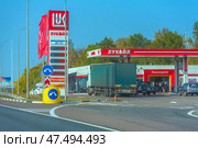 Lukoil gas station on the highway. In the foreground is an access road with markings and road signs. There are cars and one large truck at the gas pumps. On the right is a building with a minimarket and a cafe, with a bright red sign above the entrance. Also visible are the brand's flags and a board with current fuel prices (diesel, 92, 95, 100). The weather is clear, the sky is bright blue, the trees in the background are painted in yellow-green autumn shades. (2020 год). Редакционное фото, фотограф Анна Кривицкая / Фотобанк Лори