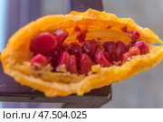 The fruit of Momordica charantia, also known as bitter melon or Indian cucumber. The fruit is cut open, revealing its distinctive bright orange skin and the juicy, deep red seeds inside. The seeds are smooth and glossy, and are tightly packed into the fruit cavity. This exotic plant is known for its medicinal properties and is used in traditional medicine and cooking, especially in Asian countries. In the background is a blurred stone or tile surface. Стоковое фото, фотограф Анна Кривицкая / Фотобанк Лори