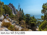 A picturesque Crimean landscape, where majestic mountain cliffs covered with coniferous trees and the endless Black Sea are combined. A massive limestone cliff with a sharp peak rises on the left, and on the right there is a view of the sea, sparkling in the bright sunlight. Below, there is a dense forest of junipers and pines. The atmosphere is secluded and peaceful. A burgundy fabric is visible on a tree branch - perhaps part of a camping or climbing equipment. Стоковое фото, фотограф Анна Кривицкая / Фотобанк Лори