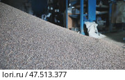 Unprocessed buckwheat groats in stock. Стоковое видео, видеограф Mikhail Davidovich / Фотобанк Лори