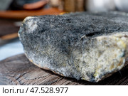 A variety of mold fungi on a loaf of bread. Mold growing on a loaf of bread indicates rotting and spoiled food in the kitchen. Expired food. Стоковое фото, фотограф Оксана Медведева / Фотобанк Лори