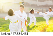 Tweens mastering karate techniques in pairs on green lawn. Стоковое фото, фотограф Яков Филимонов / Фотобанк Лори