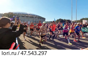 Московский марафон. Старт забега. Сентябрь. Moscow Marathon. Start of the race. September. Редакционное видео, видеограф Горшков Александр / Фотобанк Лори