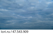 Overcast sky with layered stratocumulus clouds. Natural cloudy sky background. Weather and atmosphere concept. Стоковое фото, фотограф Андрей Журавлев / Фотобанк Лори