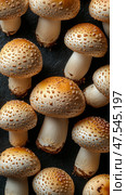 Fresh Agaricus bisporus mushrooms showcase their white, delicate texture from a top-down view. Ideal for gourmet cooking, they offer a natural and healthy culinary option. Стоковое AI-изображение, AI-художник Nart / Фотобанк Лори