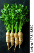 A seamless top-down view captures the intricate texture of fresh parsley roots. The earthy tones and detailed patterns highlight their natural and organic qualities, perfect for culinary inspiration. Стоковое AI-изображение, AI-художник Nart / Фотобанк Лори