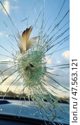 Bird feather stuck on broken windshield glass with impact cracks. Стоковое AI-изображение, AI-художник Юрий Поздников / Фотобанк Лори