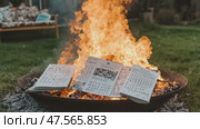 Burning music sheets in fire pit, destruction of musical scores. Стоковое AI-видео, аниматор Юрий Поздников / Фотобанк Лори