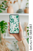 Flora on Screen: Hand Holding Smart gizmo Displaying Botanical Illustration for Green Living App Advertisements, Minimalist Home Staging. Стоковое AI-изображение, AI-художник Данила Большаков / Фотобанк Лори