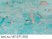 Фон с ободранной краской. Зеленый фон. Текстура с зеленой ободранной краской. Background with peeling paint. Green background. Texture with green peeling paint. Стоковое фото, фотограф Ольга Митряева / Фотобанк Лори
