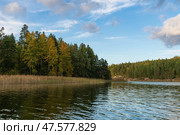 Lake Ladoga near the village Lumivaara on a sunny autumn day, Ladoga skerries, Lakhdenpokhya, Republic of Karelia, Russia. Стоковое фото, фотограф Ula Ulachka / Фотобанк Лори