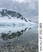 A huge high breakaway glacier in the southern ocean off the coast of Antarctica, the Antarctic Peninsula, the Southern Arctic Circle, azure water, cloudy weather. Стоковое фото, фотограф Vladimir Drozdin / Фотобанк Лори