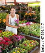 Young girl holding flower-pot with pentas in large plants market. Стоковое фото, фотограф Яков Филимонов / Фотобанк Лори