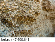 Closeup of organic mass of ensiled corn stalks and leaves. Стоковое фото, фотограф Яков Филимонов / Фотобанк Лори