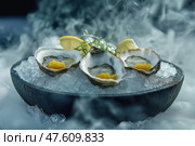 Creative presentation of fresh oysters served on ice with lemon. Свежевыловленные устрицы элегантно подаются на льду, гарнируются морскими водорослями и сопровождаются дольками лимона, создавая незабываемые ощущения для любителей морепродуктов. Стоковое AI-изображение, AI-художник Katsiaryna Repich / Фотобанк Лори