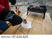 Мясо на шампуре, прожаренное на углях в мангале. Стоковое фото, фотограф Алексей Белкин/NEWS.ru / ТАСС / Фотобанк Лори