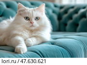 Elegant white Persian cat lying on a comfortable tufted teal sofa indoors. Элегантная белая персидская кошка лежит на удобном мягком диване тилового цвета в помещении. Стоковое AI-изображение, AI-художник Katsiaryna Repich / Фотобанк Лори