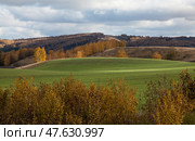 Autumn green field sown with winter crops. Стоковое фото, фотограф Андреева Тамара Викторовна / Фотобанк Лори
