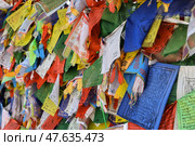 Крупный план множества разноцветных тибетских буддийских молитвенных флажков, увешанных и развевающихся, с мантрами и символами (2024 год). Редакционное фото, фотограф Евгений Ковальский / Фотобанк Лори