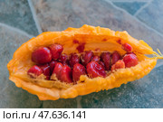 The fruit of Momordica charantia, also known as bitter melon or Indian cucumber. The fruit is cut open, revealing its distinctive bright orange skin and the juicy, deep red seeds inside. The seeds are smooth and glossy, and are tightly packed into the fruit cavity. This exotic plant is known for its medicinal properties and is used in traditional medicine and cooking, especially in Asian countries. In the background is a blurred stone or tile surface. Стоковое фото, фотограф Анна Кривицкая / Фотобанк Лори